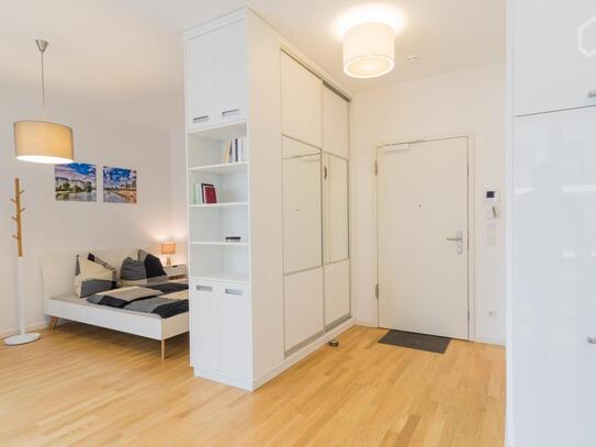 Fantastic studio with balcony in Mitte - central but quiet location, Berlin - Amsterdam Apartments for Rent