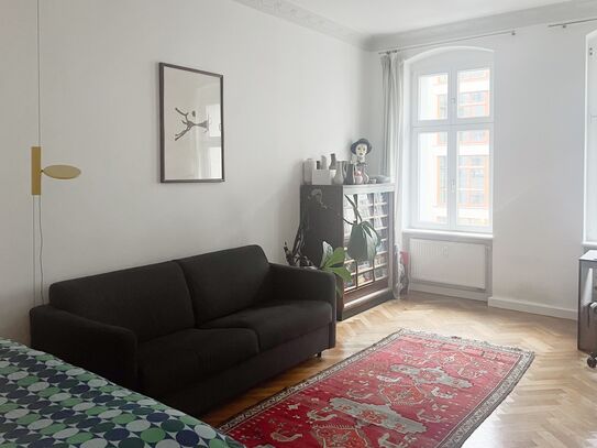 Large flat in Friedrichshain with cat