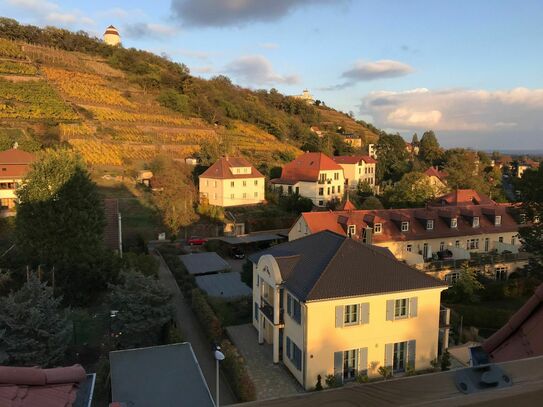 Helles möbliertes Apartment mit Weitblick in Radebeul