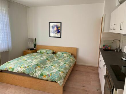 Liebevoll eingerichtete und moderne Wohnung auf Zeit im Herzen von Köln | Newly renovated and gorgeous studio in Köln-D…