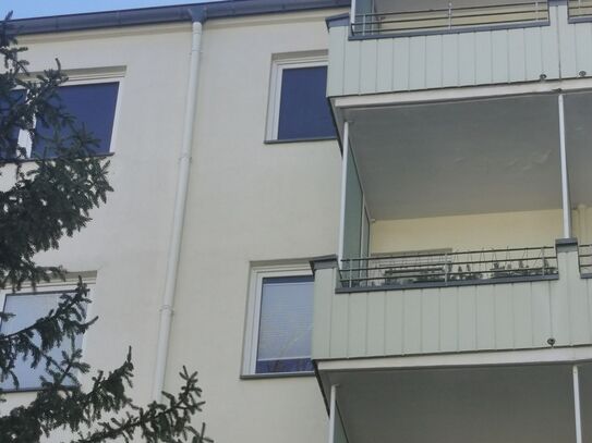 New & amazing suite in Dahlem, Berlin - Amsterdam Apartments for Rent