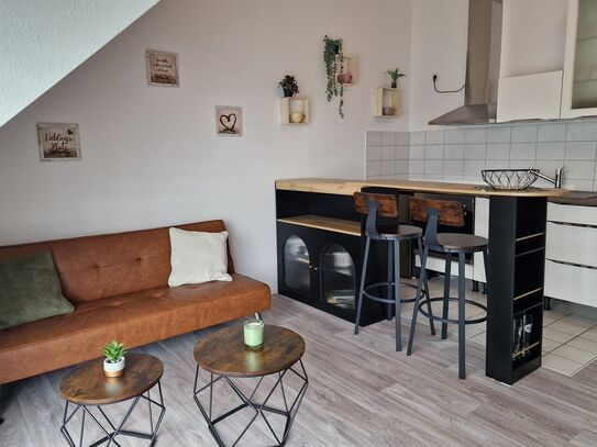 Cozy apartment (Oldenburg)