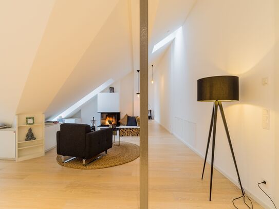 charming luxury apartment in Berlin Mitte with fireplace and 2 terraces