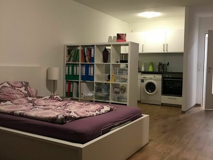 Schickes & helles Business Apartment in Neu-Ulm