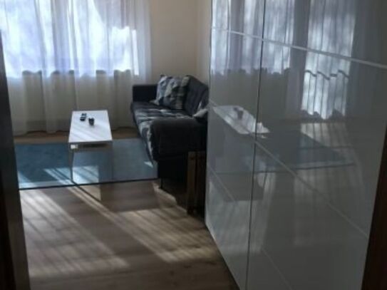 Furnished 1.5 room apartment for rent from December 1st, 2023