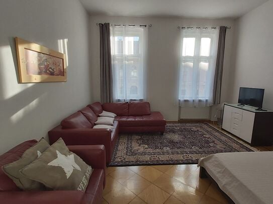 beautiful big apartment in Center Potsdam