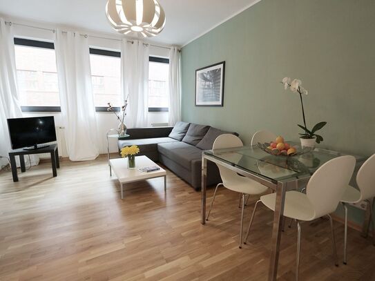 Newly renovated Apartment with big terrace in the gallery district in Mitte, Berlin - Amsterdam Apartments for Rent