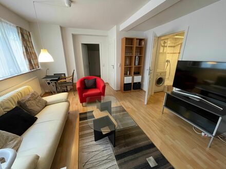 Voll ausgestattetes 2 Zimmer Apartment in S-Wangen