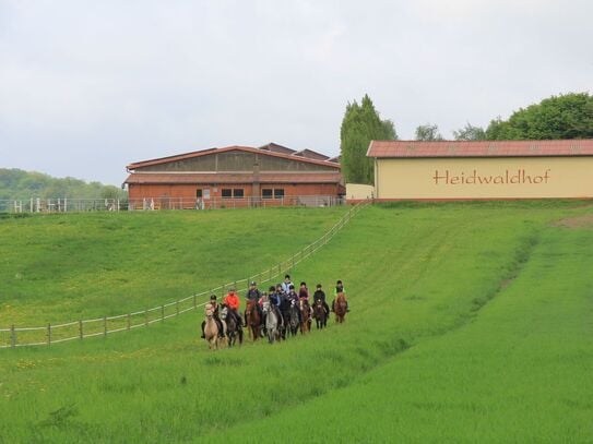 Relaxation and pure nature in a charming apartment on the horse farm in Merzig