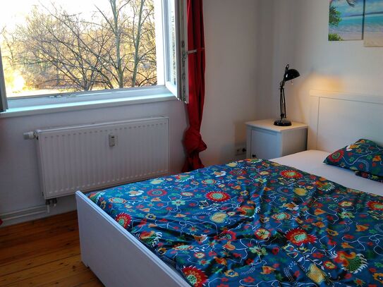 Zentrale 2 Zimmer Wohnung mit Dielen (Berlin-Prenzlauer Berg)