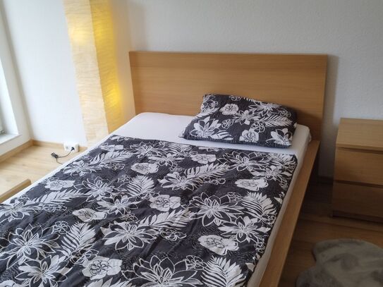 Awesome & lovely suite in Dresden, full furnished with double bed, desk, chairs, wardrobe, kitchenette with sink and fr…