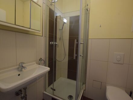 1-Raum-Apartment I Balkon I Zentrumsnahe I am Park | Charming apartment in Leipzig