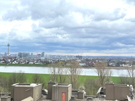 Rheinblick auf Düsseldorf