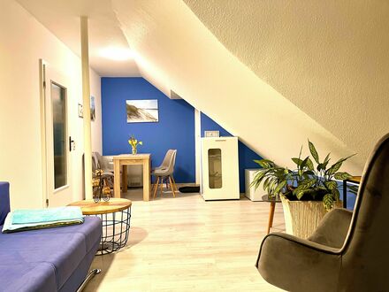 Fantastisches 2 Raum Apartment mit Terrasse + Balkon, sehr zentral, frisch renoviert, Blick auf Skyline Leipzig + Völke…