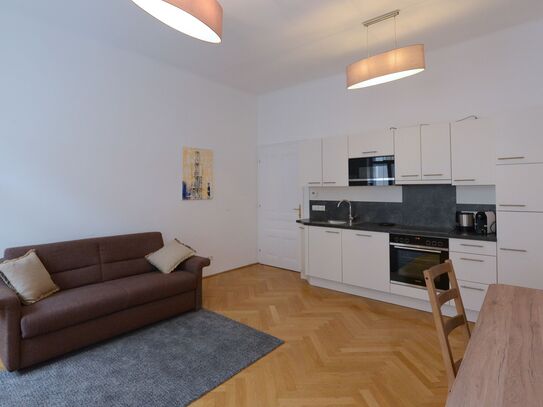 Schönes, modernes Apartment in Wien