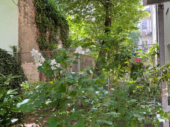 Moderne, Garten- 3 Zimmer Wohnung in Prenzlauer Berg, Rykestr