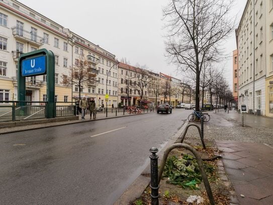 charming luxury apartment in Berlin Mitte with fireplace and 2 terraces, Berlin - Amsterdam Apartments for Rent