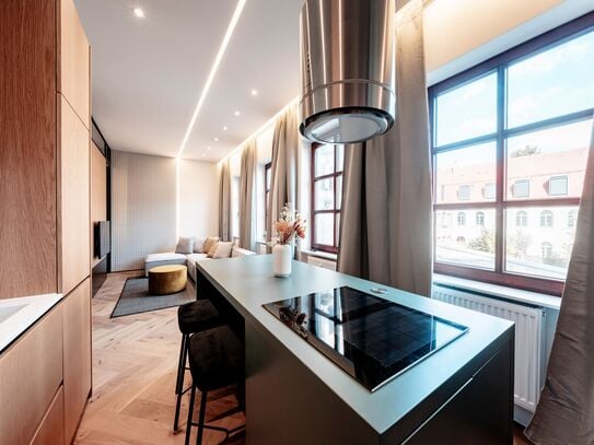 Luxury furnished and equipped studio located in Nuremberg City Center