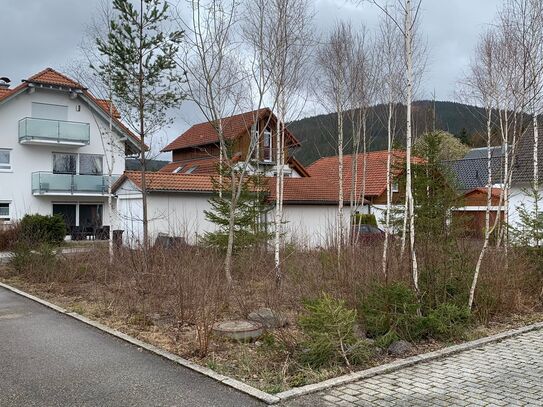 Modern Apartment Excellent Location in Titisee 2 Rooms