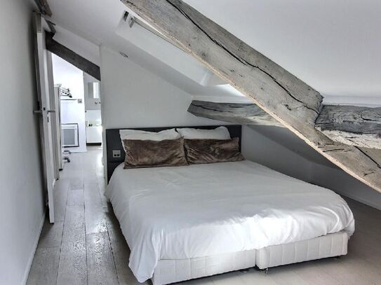 Rental Furnished flat - 3 rooms, Quartier Latin - Saint Germain de Prés