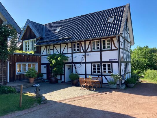 Wunderschönes, schickes Loft (Solingen)