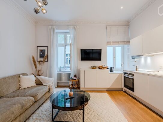 cozy & gorgeous apartment in a very central area., Berlin - Amsterdam Apartments for Rent