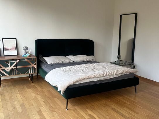 Bright and lovely home in Düsseldorf (Feb - Jun), Dusseldorf - Amsterdam Apartments for Rent