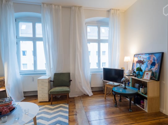 Cozy, great apartment (Mitte)