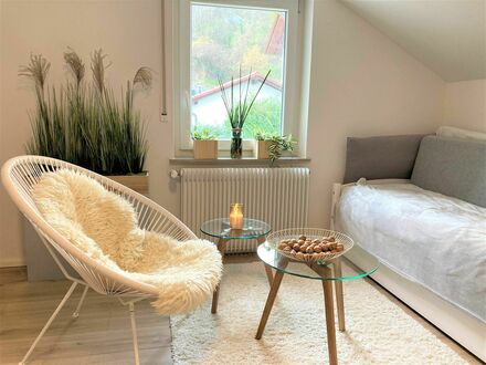 Gemütliches Studio-Appartment in idyllischer Lage in Bensheim