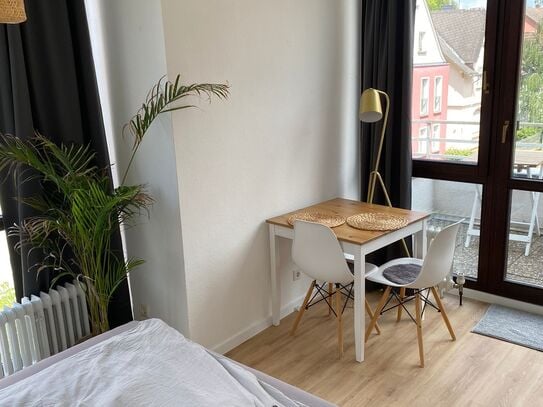 Neat, charming studio in popular area, Gießen