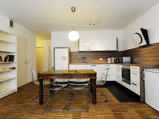 Great apartment with big private terrace, Heidelberg - Amsterdam Apartments for Rent