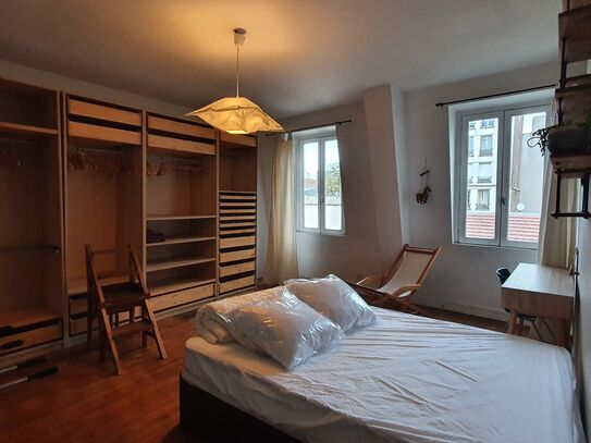 Very nice furnished room with a local, close to Paris