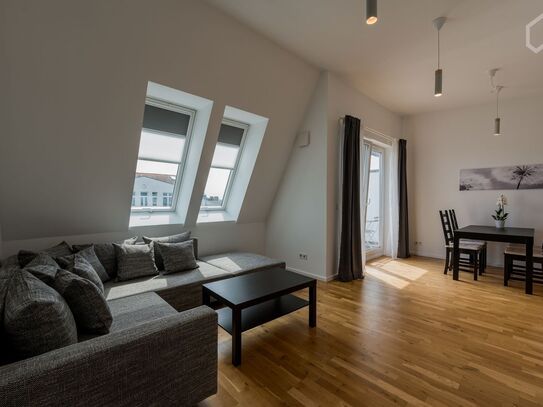 Rooftop apartment modernly equipped, Berlin - Amsterdam Apartments for Rent