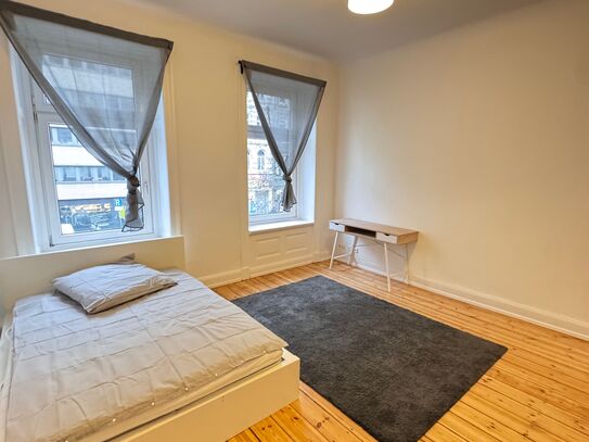 Central apartment room in Hamburg, main station, 20sqm (furnished)