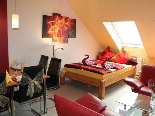 Beautiful and charming flat in the heart of town (Nürnberg)