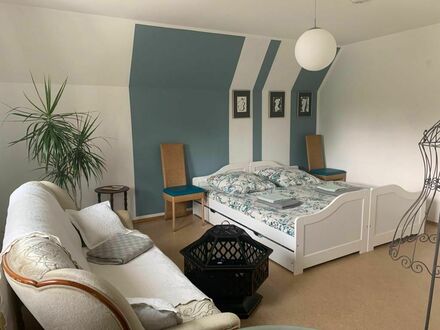 Modernes, feinstes Studio in Bad Steben | Family friendly apartments in Villa with Garden near Spa