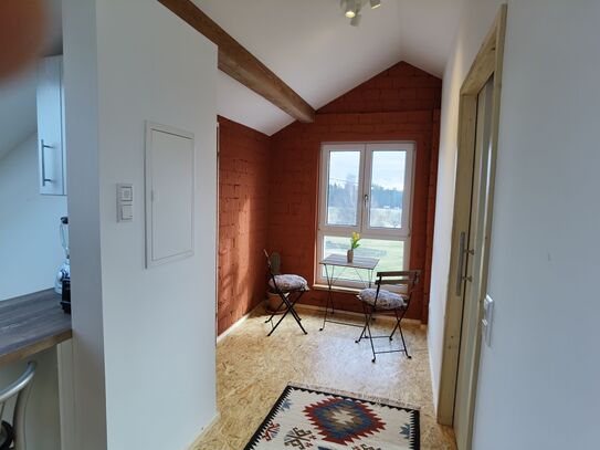 modern and charming suite in Ühlingen-Birkendorf