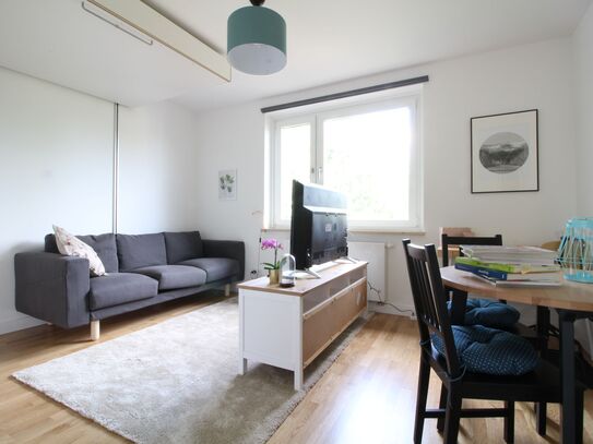 Large apartment in Hamburg-Mitte, Hamburg