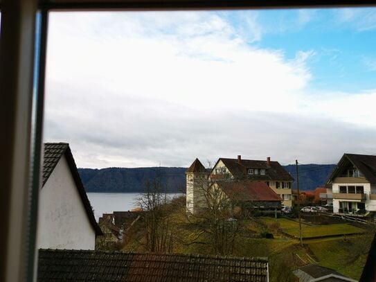 cosy apartment with fireplace near Bodensee Lake