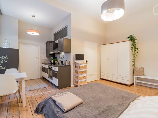 Apartment perfectly located in Friedrichshain, Berlin - Amsterdam Apartments for Rent