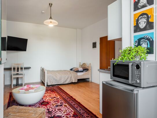 Smart FRESH Apart HBF UNI CITY SmartTV WLAN Saniert