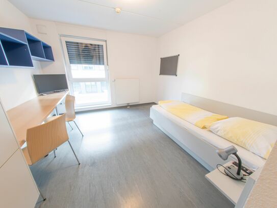 Helles Studio Apartment neben der Hochschule in Mannheim