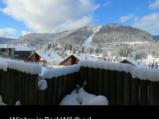 Feinste & großartige Wohnung auf Zeit in Bad Wildbad