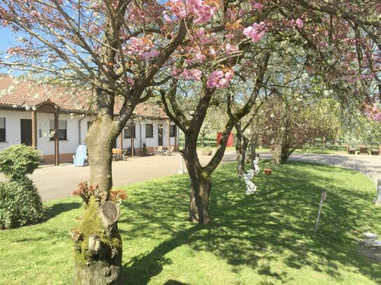 Erholung und Natur pur in einer charmanten Wohnung auf dem Reiterhof in Merzig