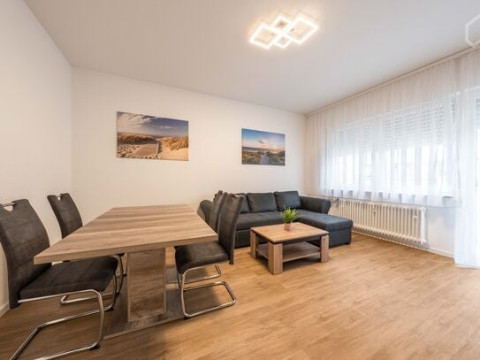 Newly renovated 2-room flat in Mannheim city centre (near main station/university)