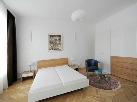 Schönes, modernes Apartment nahe Stadtzentrum (Wien)