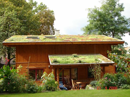 Gemütliches Holzhaus auf Zeit in Berlin-Rahnsdorf