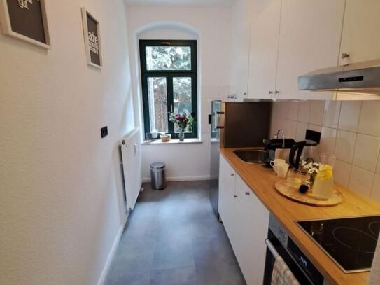 Cozy & bright apartment in Dresden, Dresden - Amsterdam Apartments for Rent