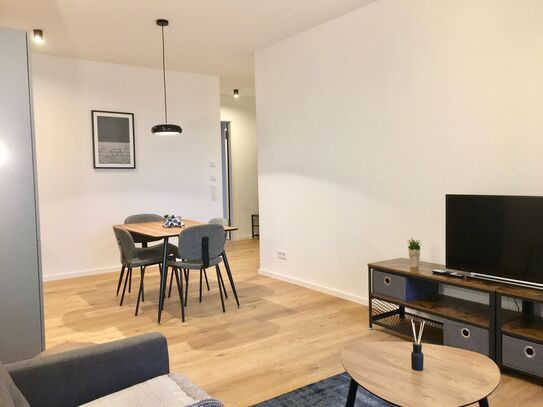 Fashionable apartment in Prenzlauer Berg