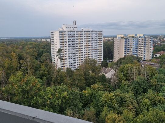 Cozy Penthouse Apartment near Frankfurt